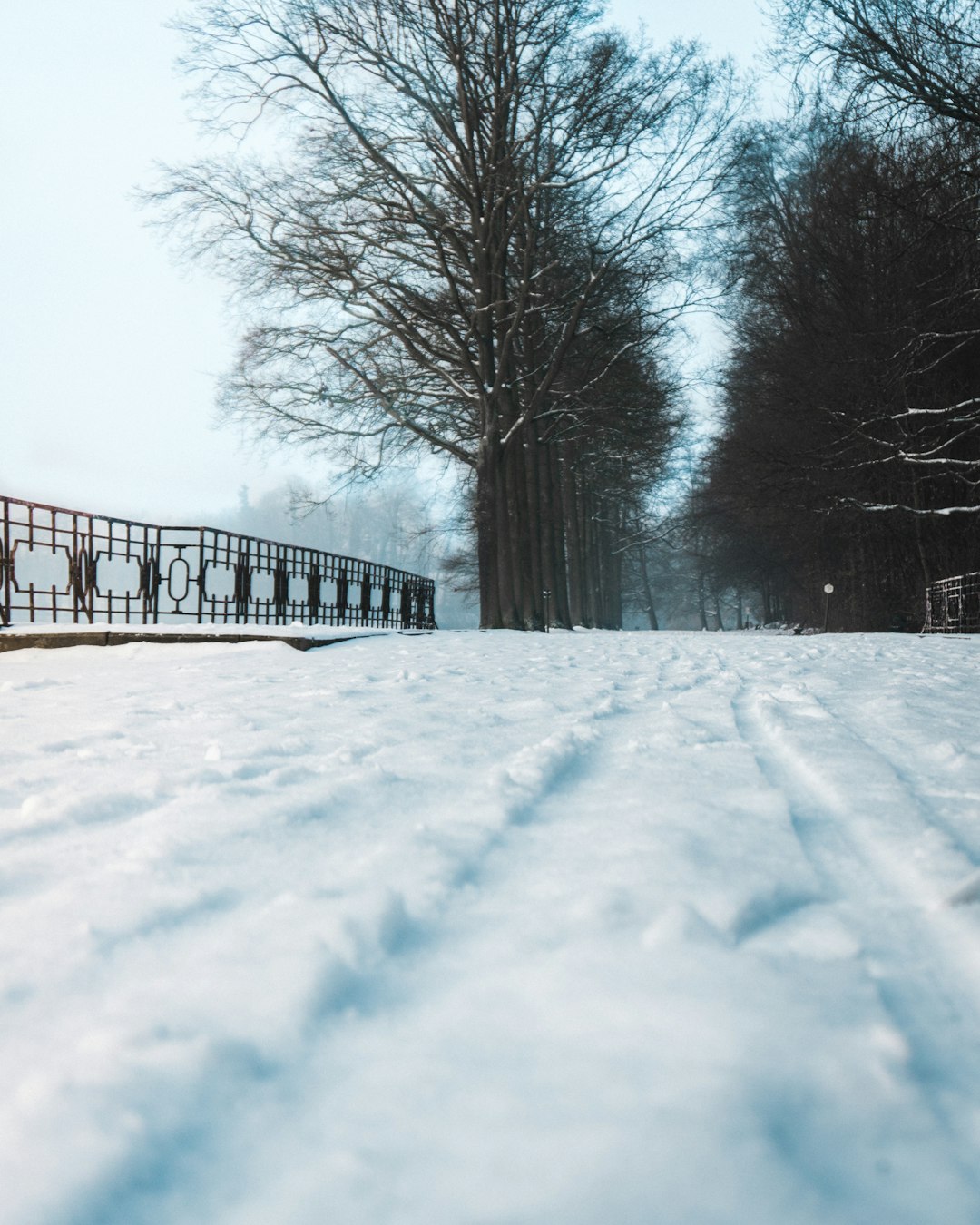City: Tervuren - Photo by aaron staes