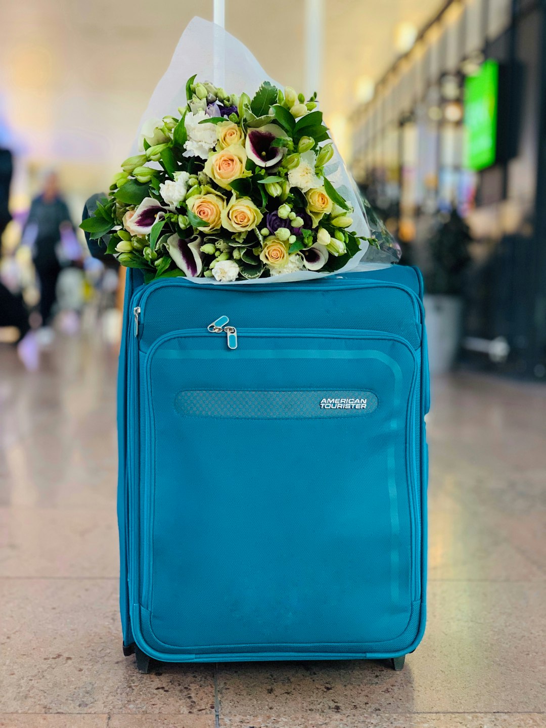 City: Zaventem - Photo by Alina Preobrazhenskaya